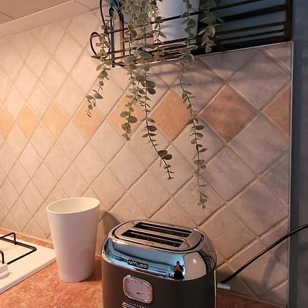 La Maison Aux Iris Pocé-sur-Cisse 外观 照片