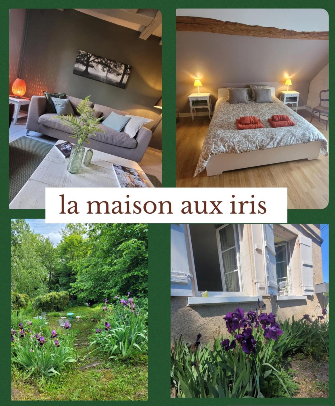 La Maison Aux Iris Pocé-sur-Cisse 外观 照片