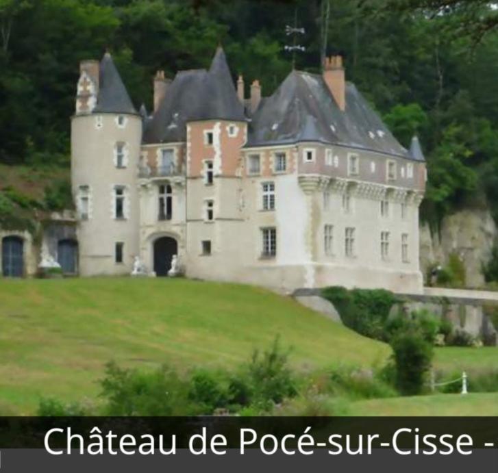 La Maison Aux Iris Pocé-sur-Cisse 外观 照片