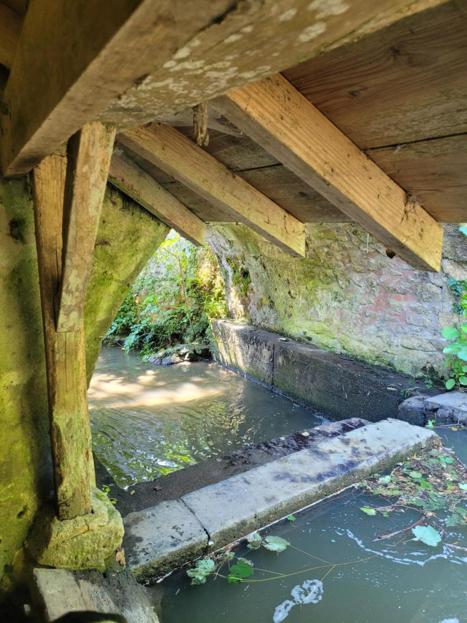 La Maison Aux Iris Pocé-sur-Cisse 外观 照片