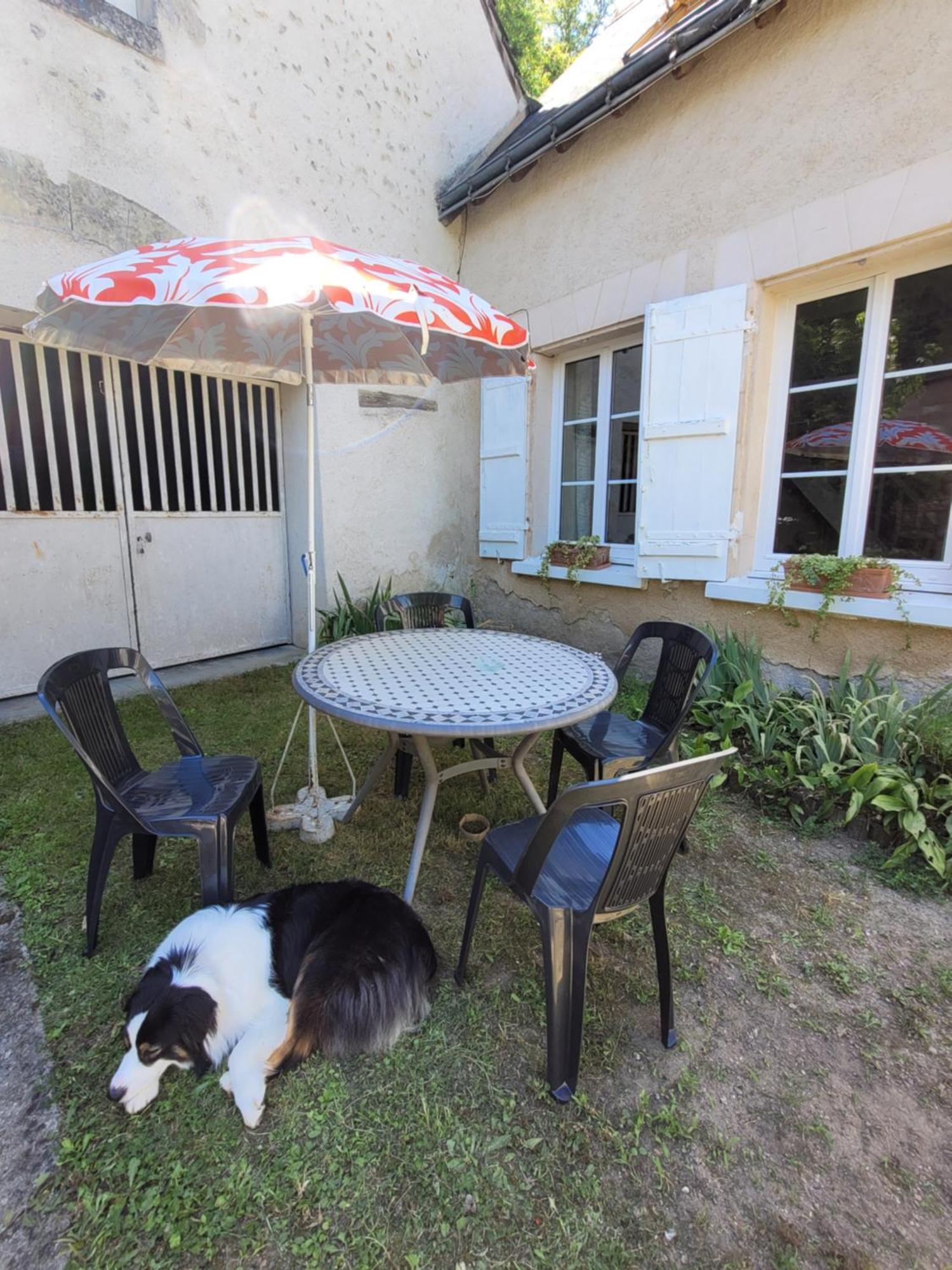 La Maison Aux Iris Pocé-sur-Cisse 外观 照片